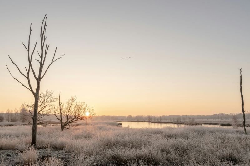 Winterliche Natur in Drenthe